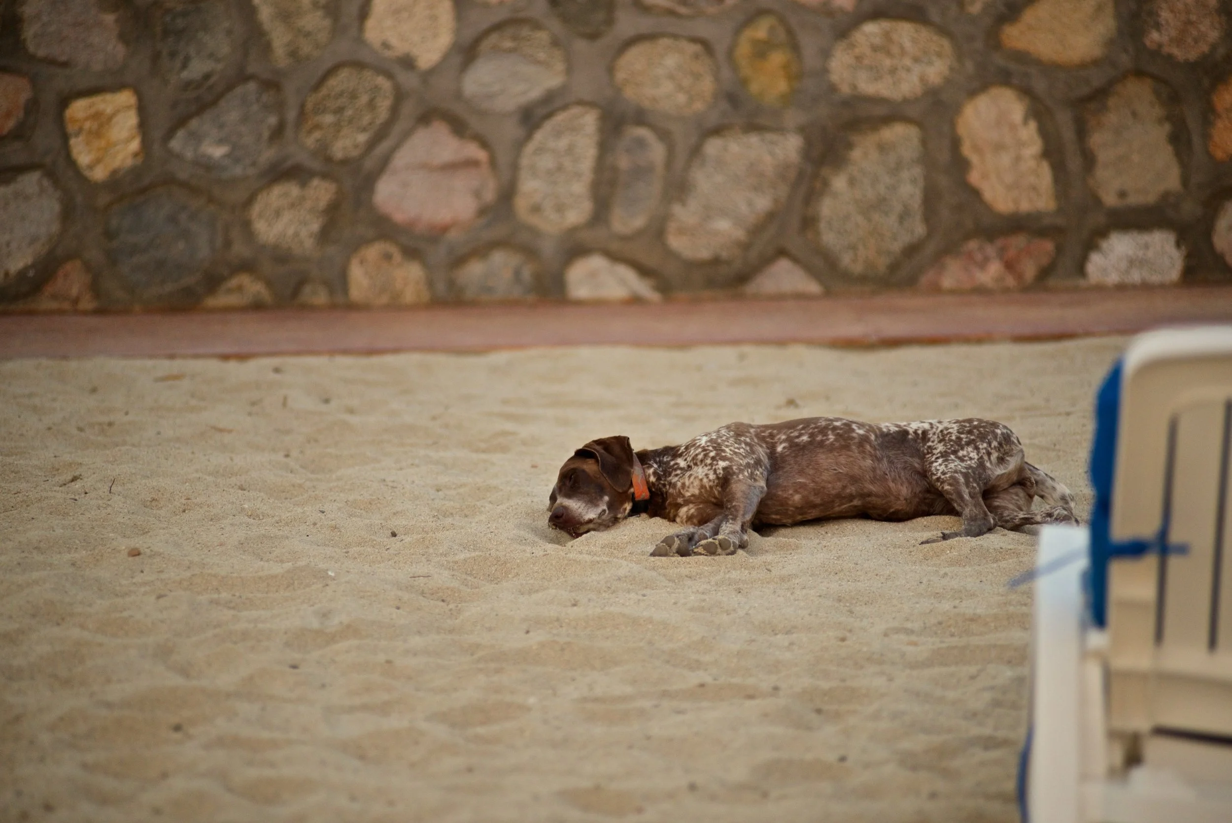 DSC_2995.jpg