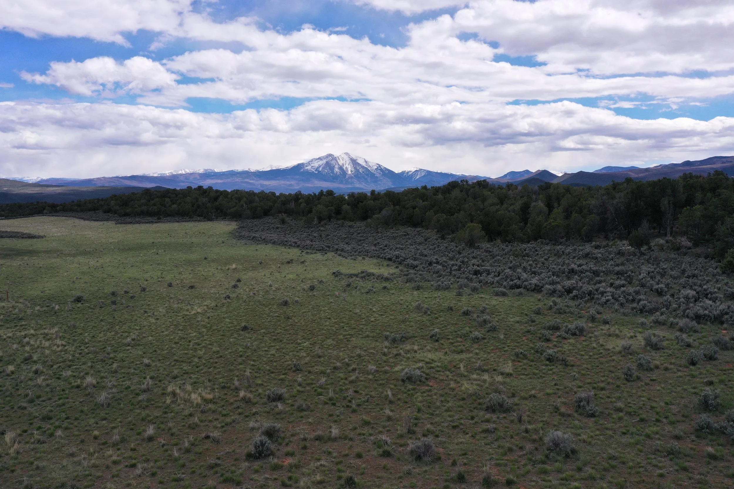 DJI_0121.JPG