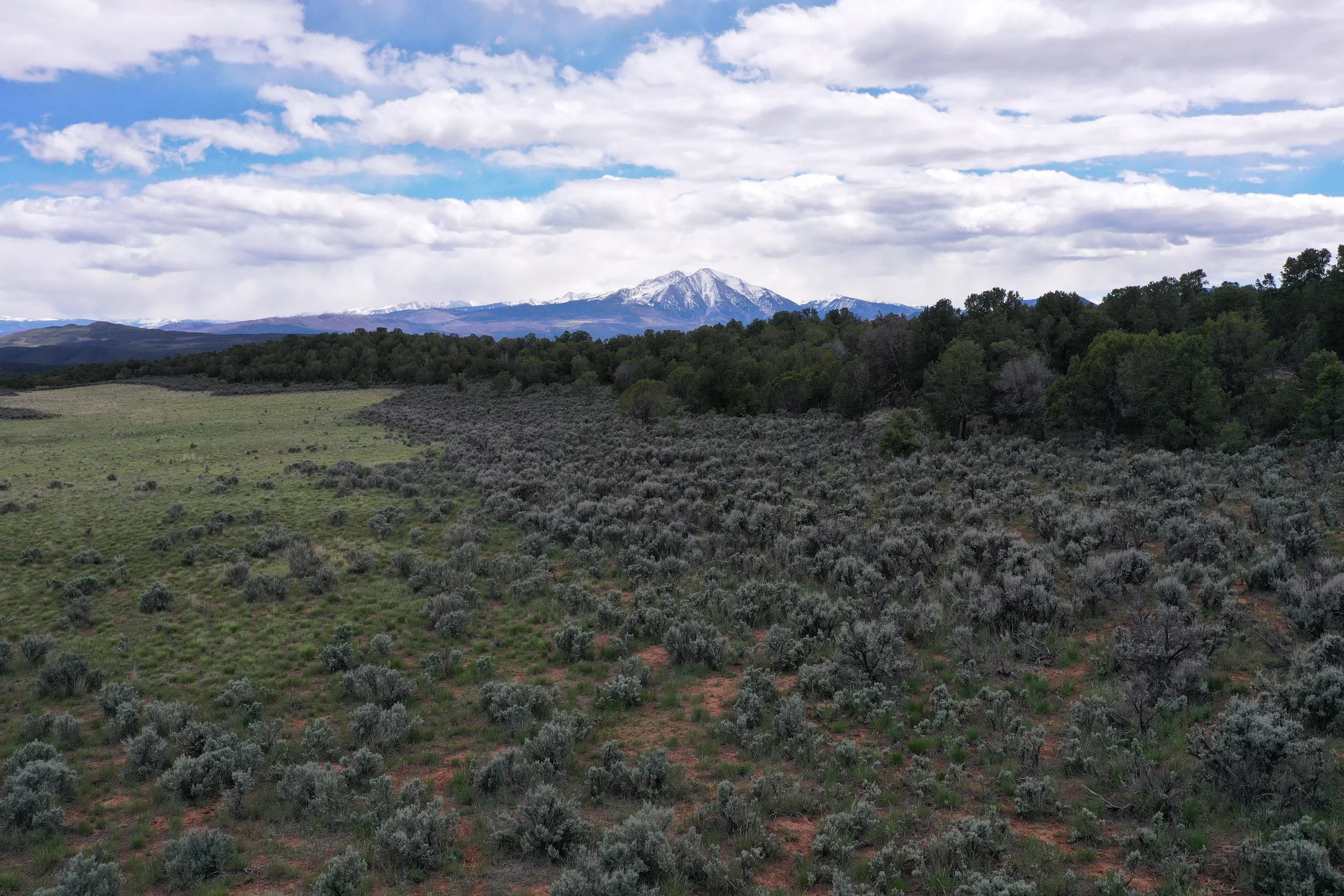 DJI_0127.JPG