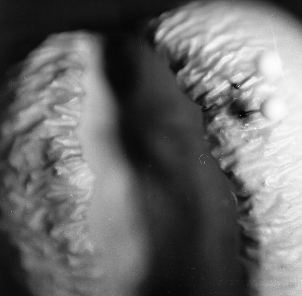 Applloo Phase II, 2016, Photograph, 20 in x 20 in