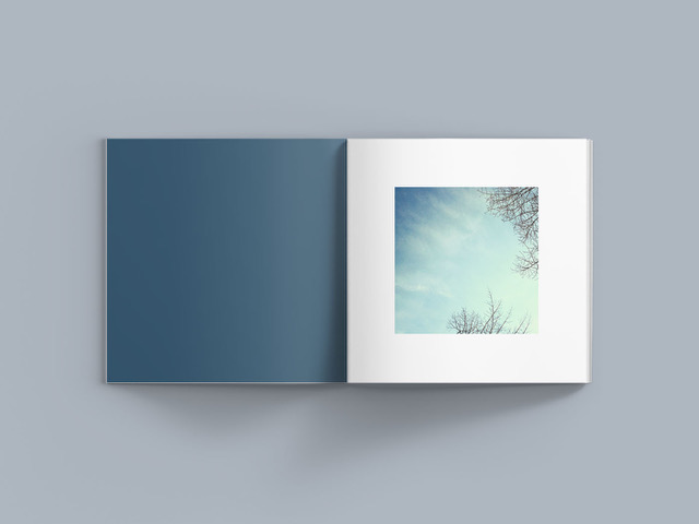 JiayinYu_LightBook_7.jpeg