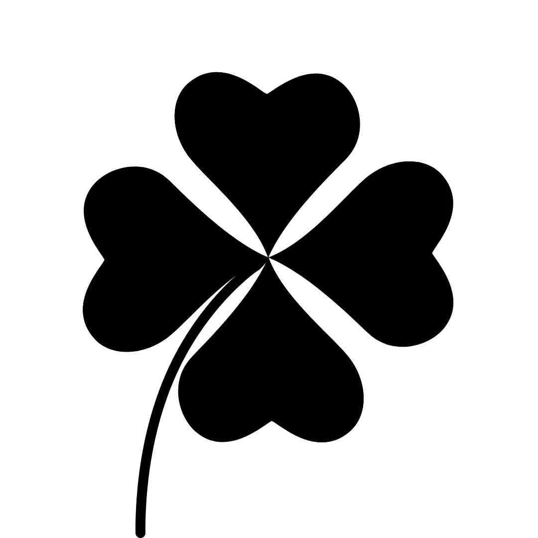 20+ Website Design Brooklyn Ct