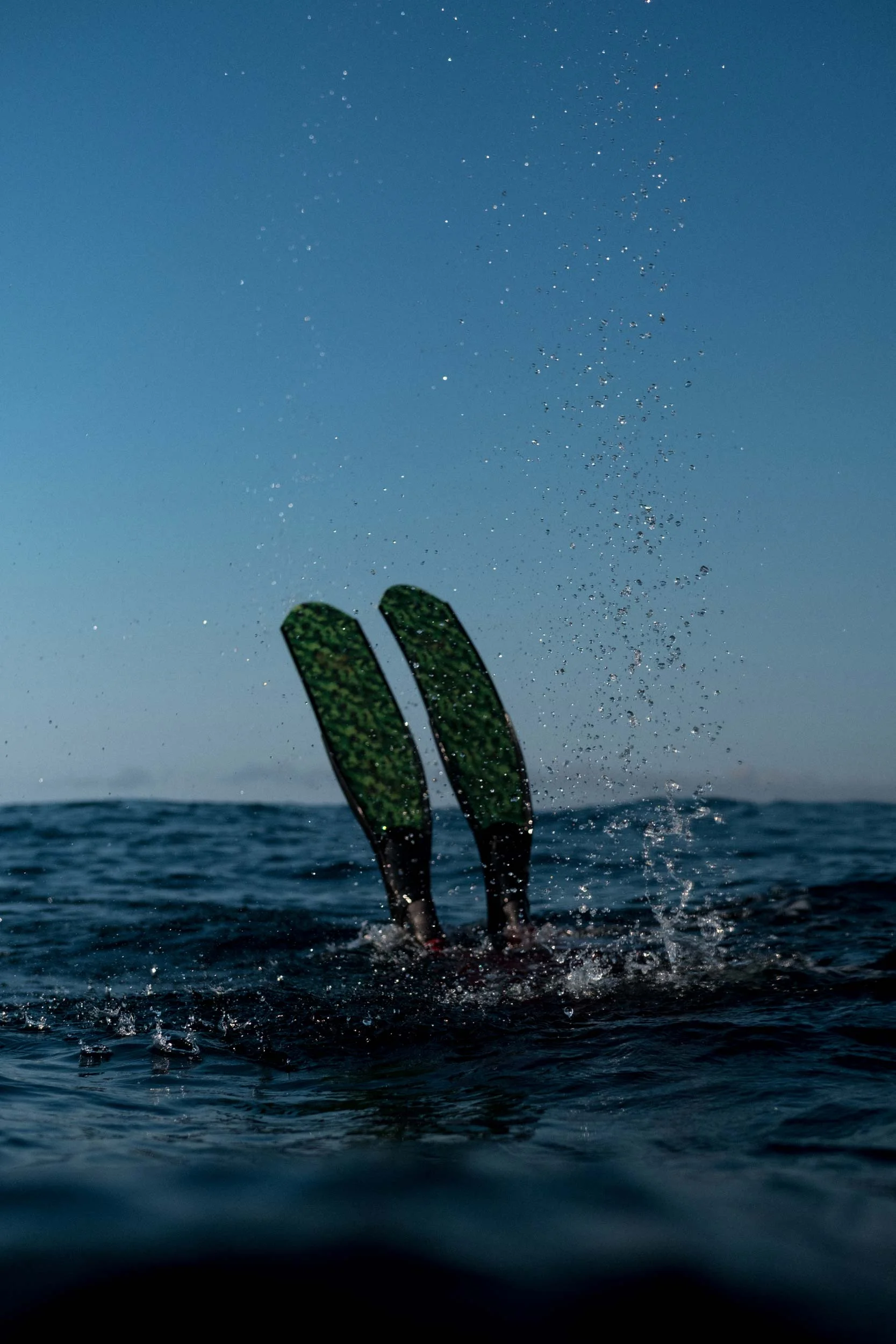 _MDT_Block_Island_Freedive_Spearfish.jpg