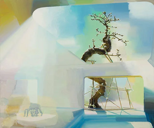 MORNING 2: MATT’S TREE