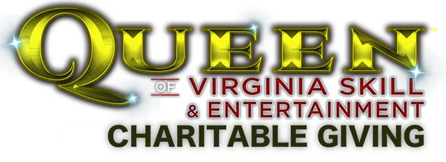 QVS Charity Logo 300 Color.jpeg