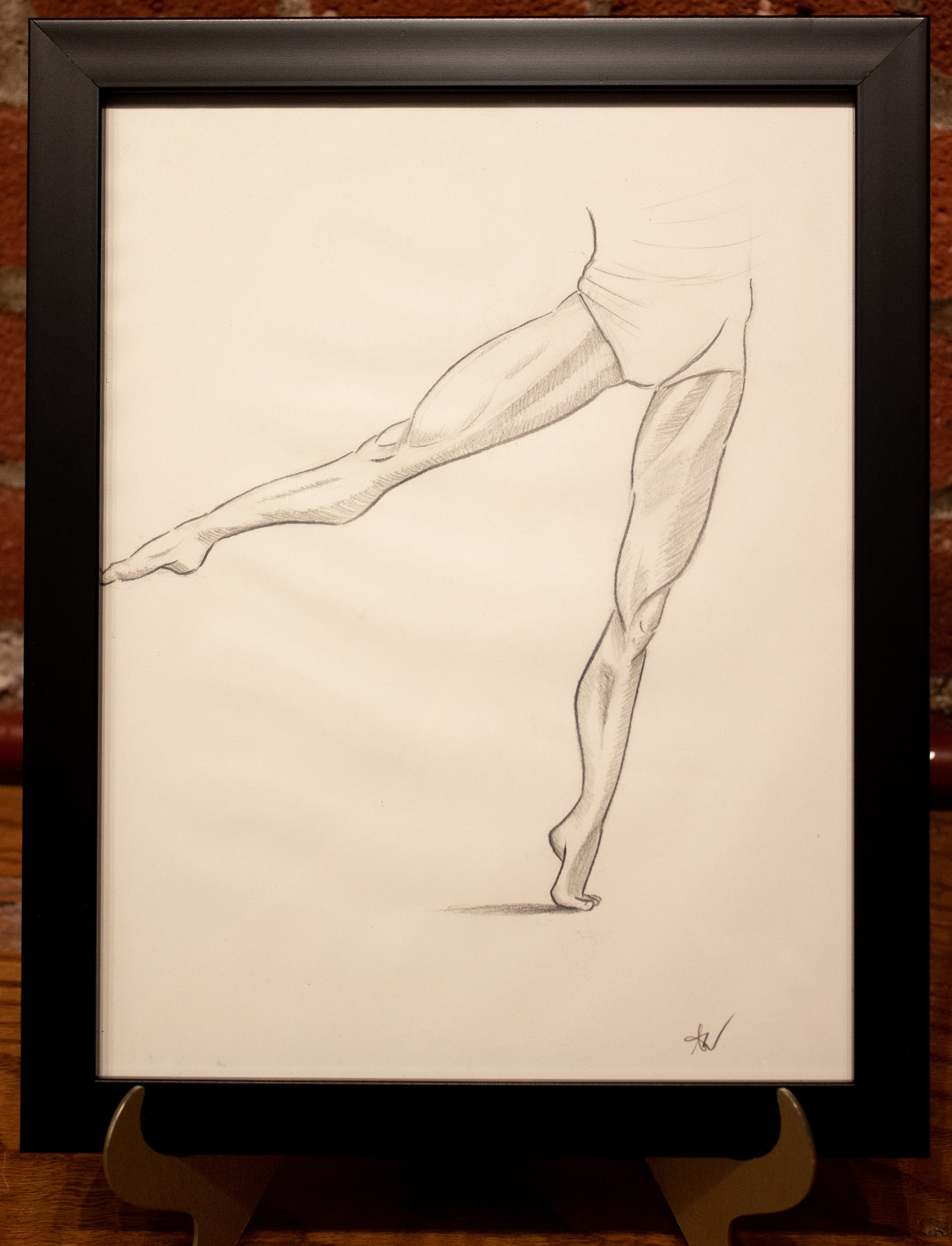 Anatomy of Leg, 1 