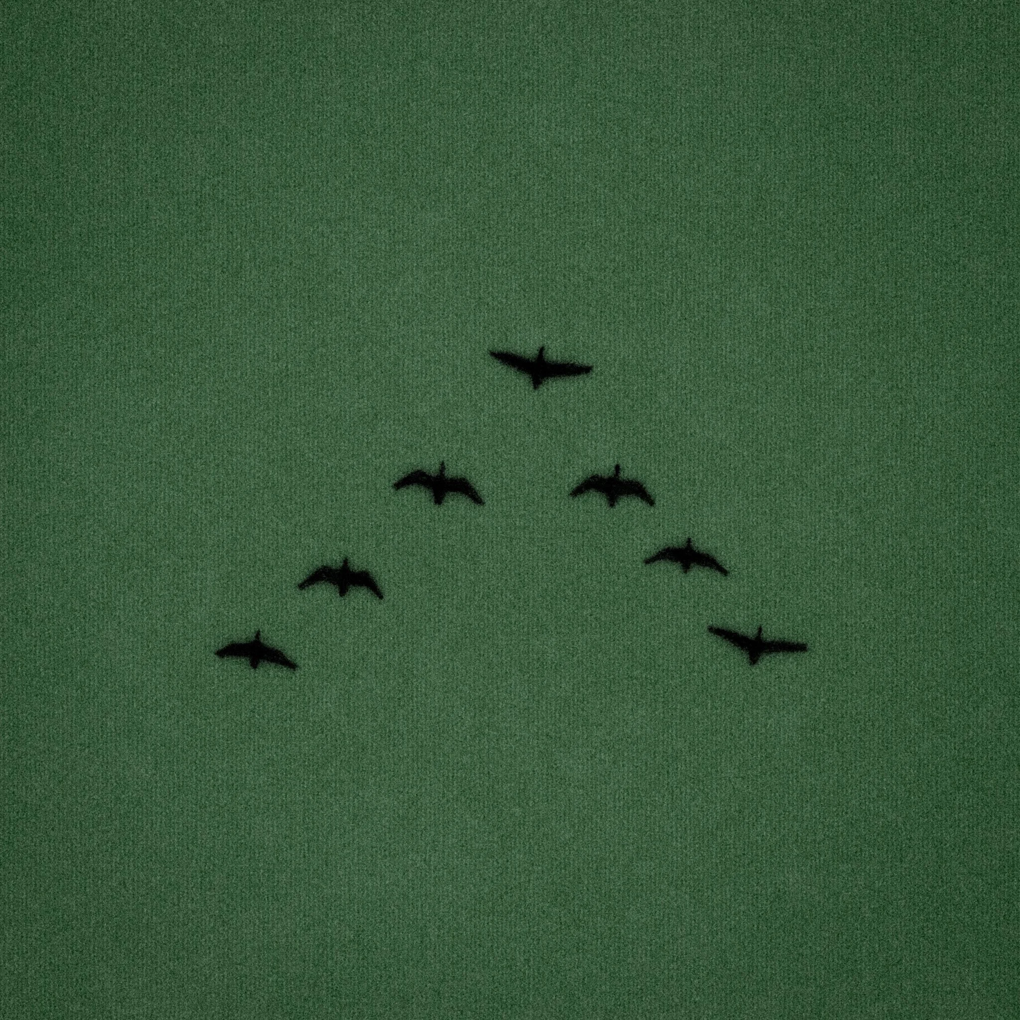 Breathwork + Low Echo