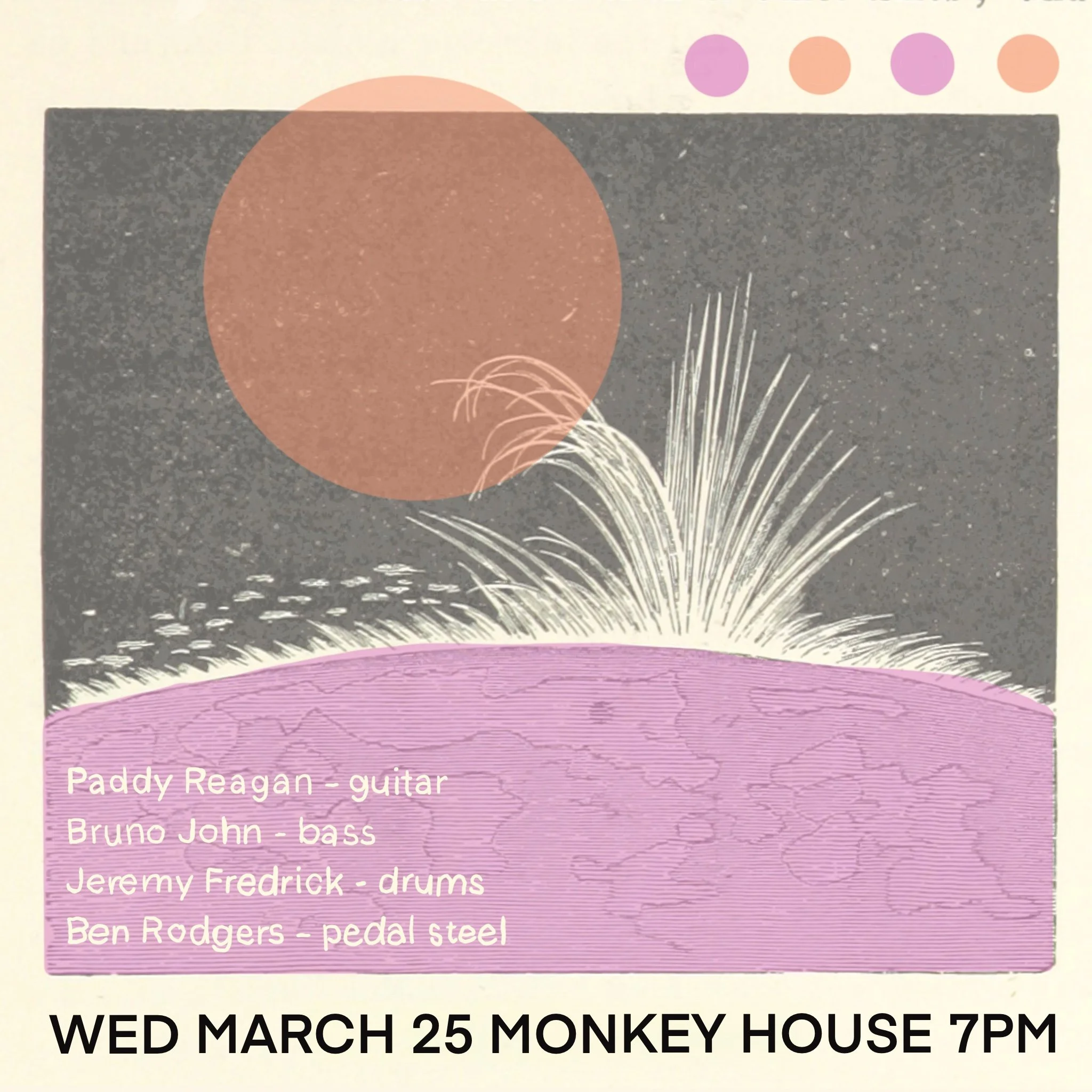 Paddy Reagan (Guitar), Bruno John (Bass), Ben Rodgers (Pedal Steel) &amp; Jeremy Fredrick (Drums)