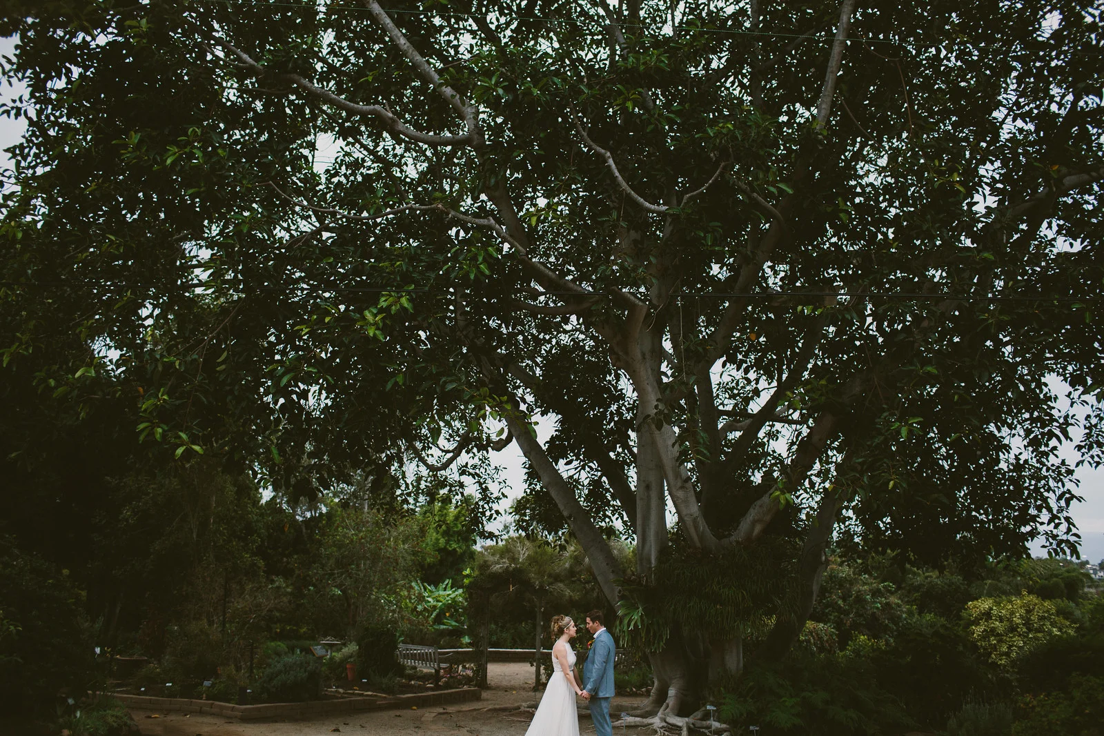 sandiego-botanic-garden-wedding-41.jpg