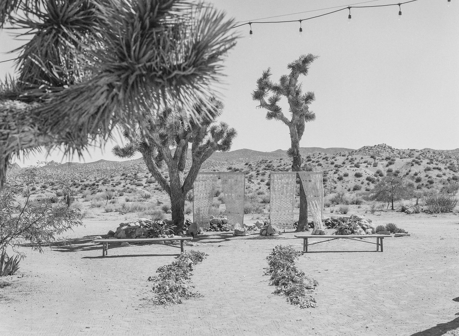 zoe-london-wedding-joshua-tree-20.jpg