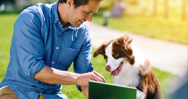 Google "April Fool's Day: Google Play for Pets"