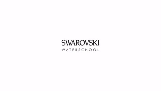 SWAROVSKI WATERSCHOOL BRAZIL