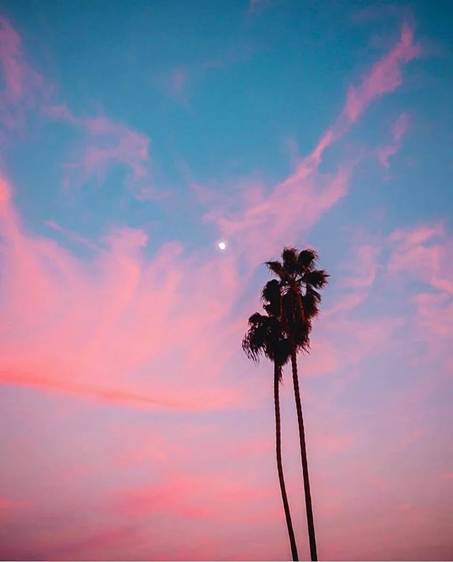 C&bull;A&bull;L&bull;I&bull;F&bull;O&bull;R&bull;N&bull;I&bull;A 💕🌴✨ #eatglitterfordinner