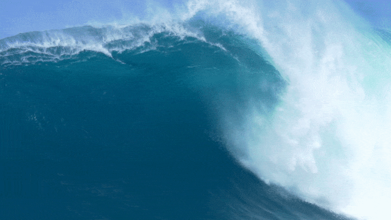 What Makes Cardinal Smith Different