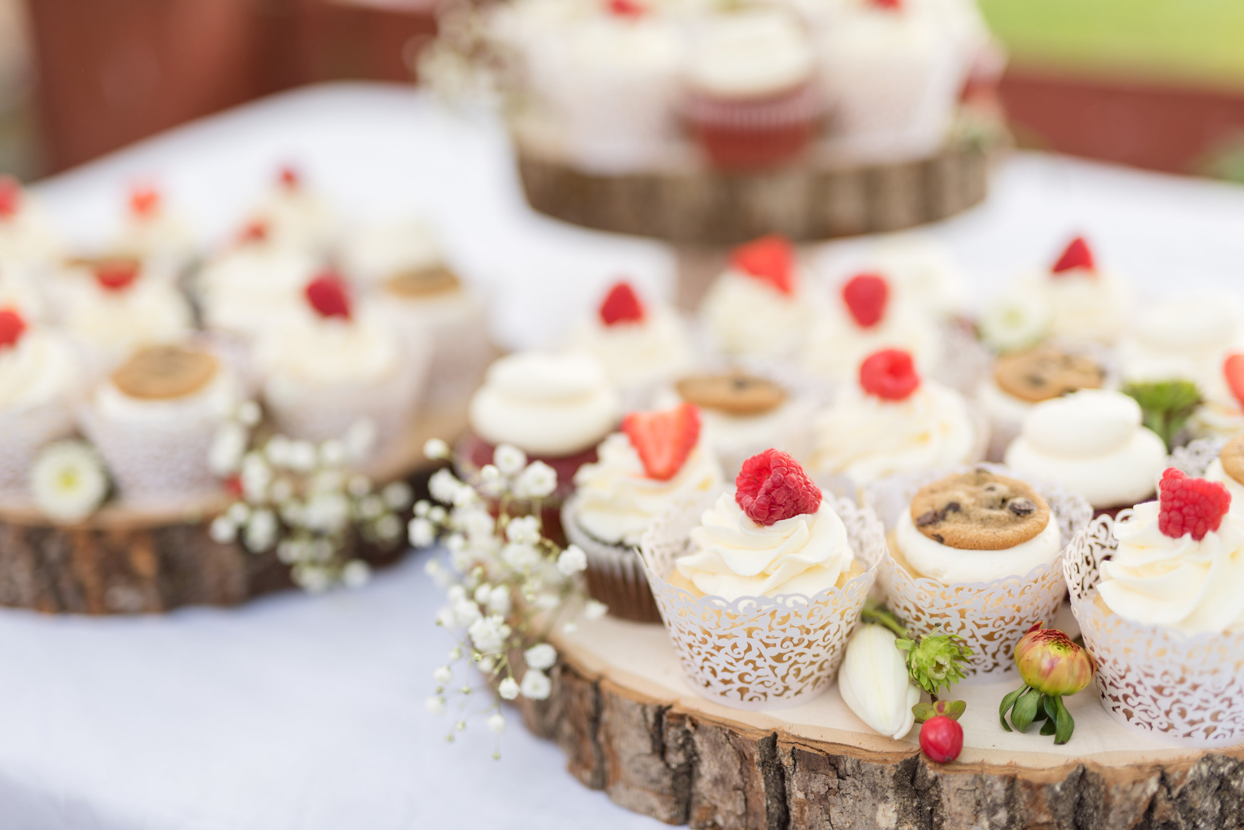 Wedding Cakes in Utah - Sweet Cravings by Marcia Hill_011.jpg