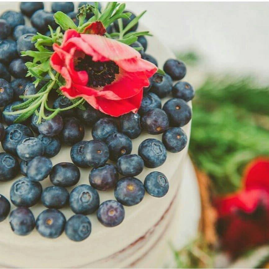 Winter Berry Wedding Cake | Utah Wedding Cakes
