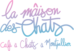 La Maison des Chats - Café à Chats