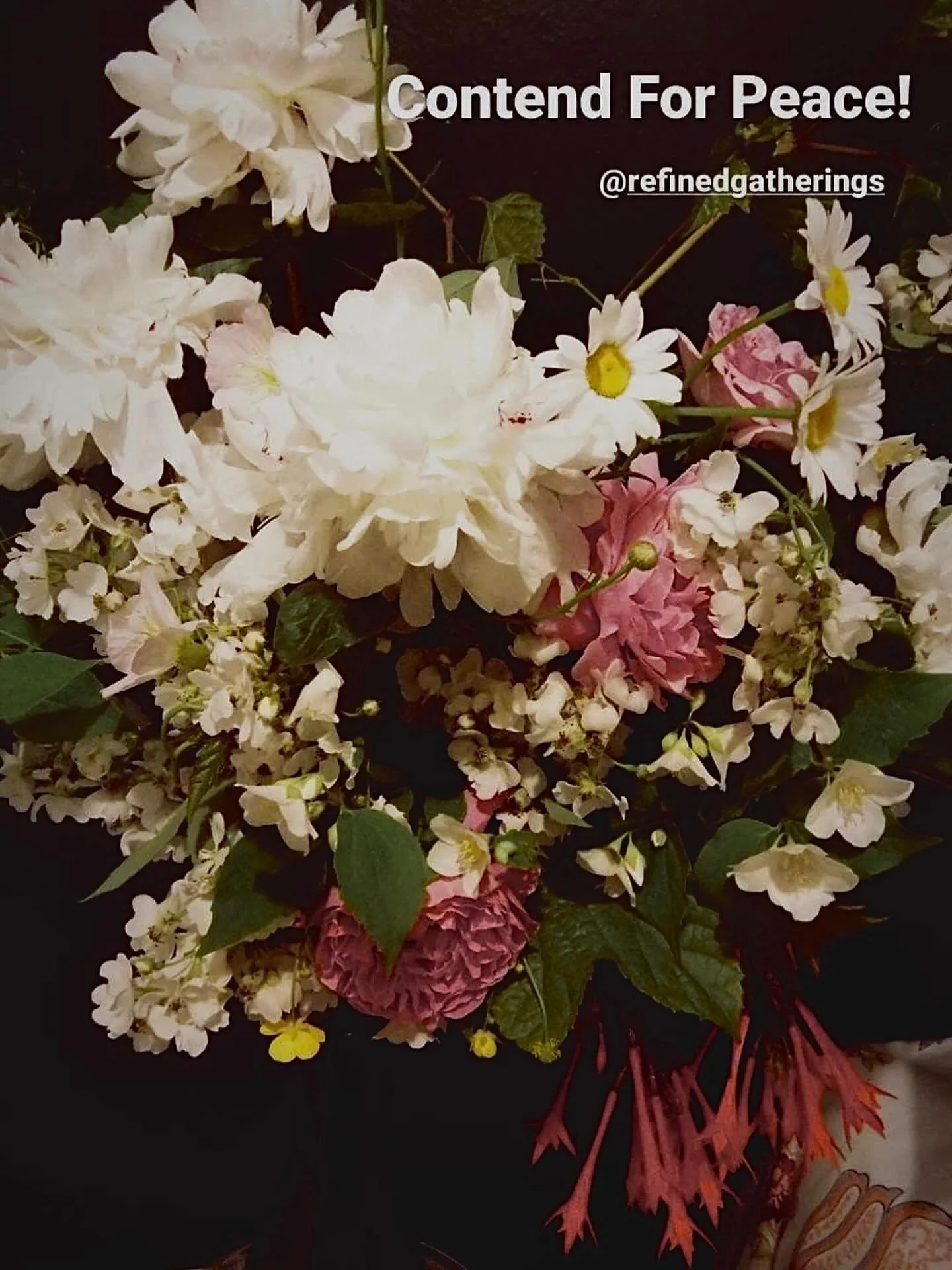 #contendforpeace