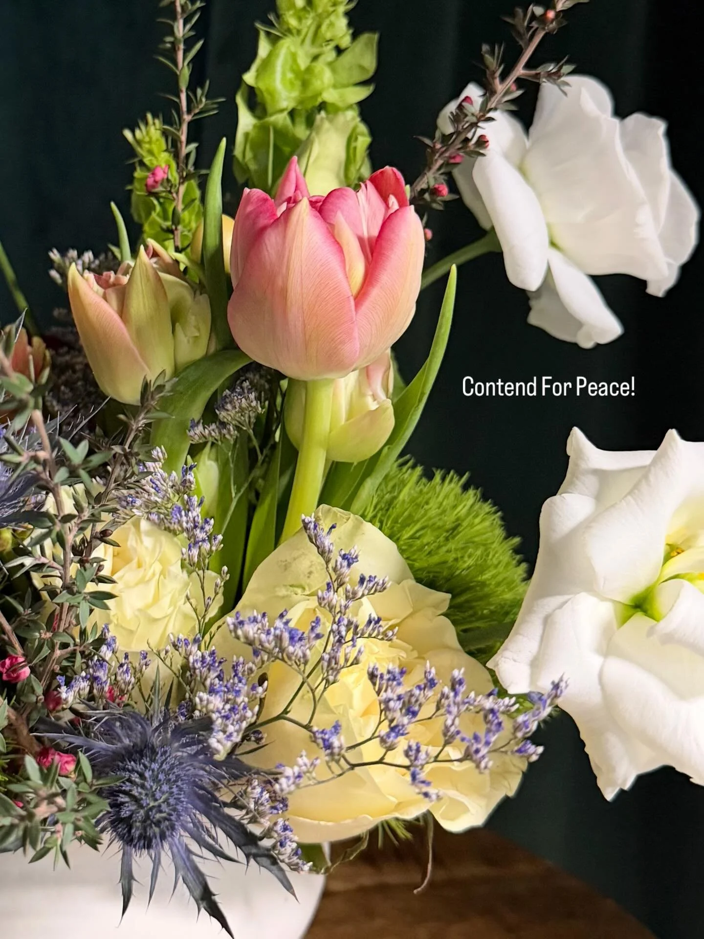 Contend For Peace!
.
.
.
.
.
.🙏🏾