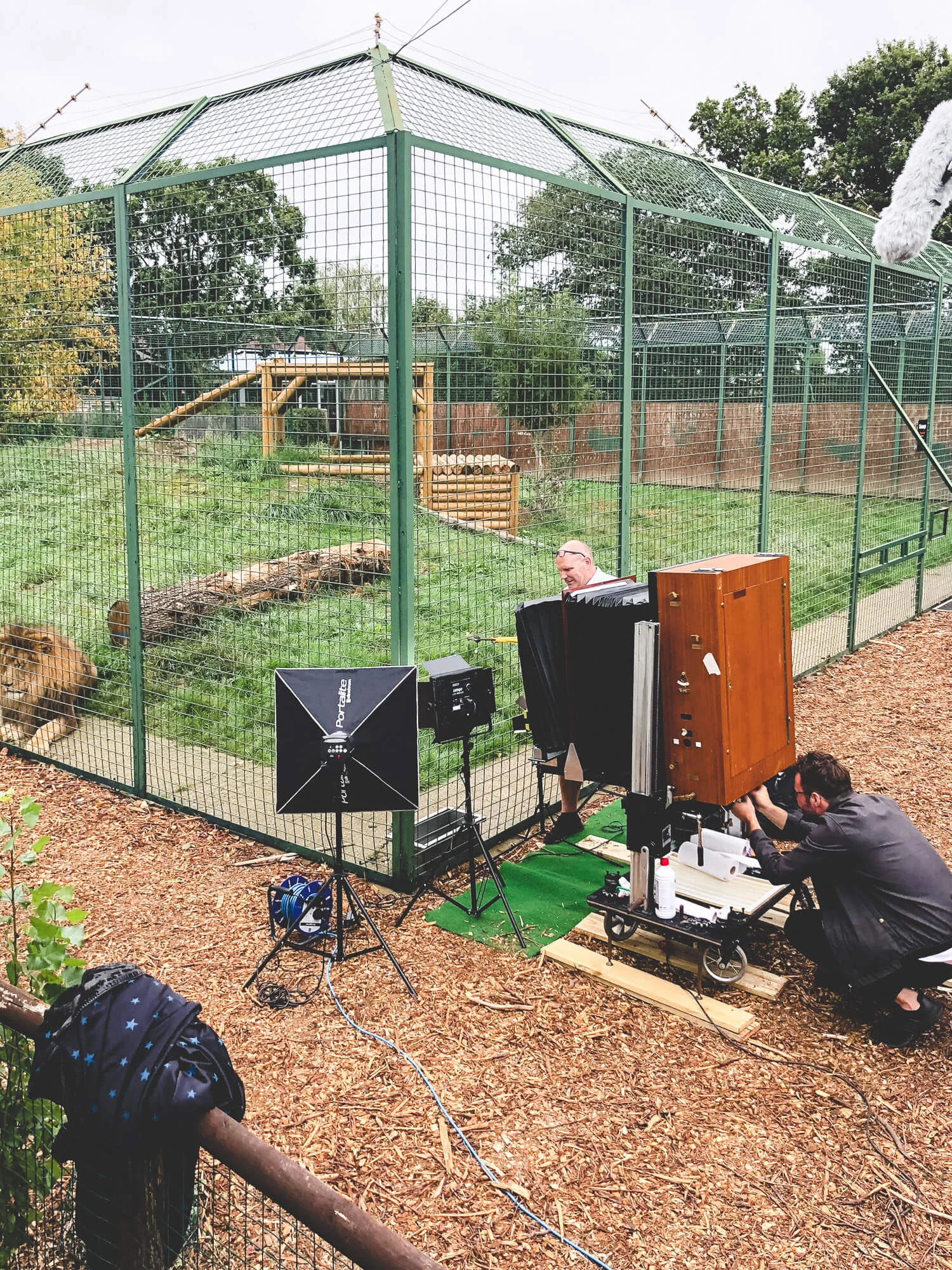 big_cat_sanctuary_©_20x24_studio_berlin-7.jpg