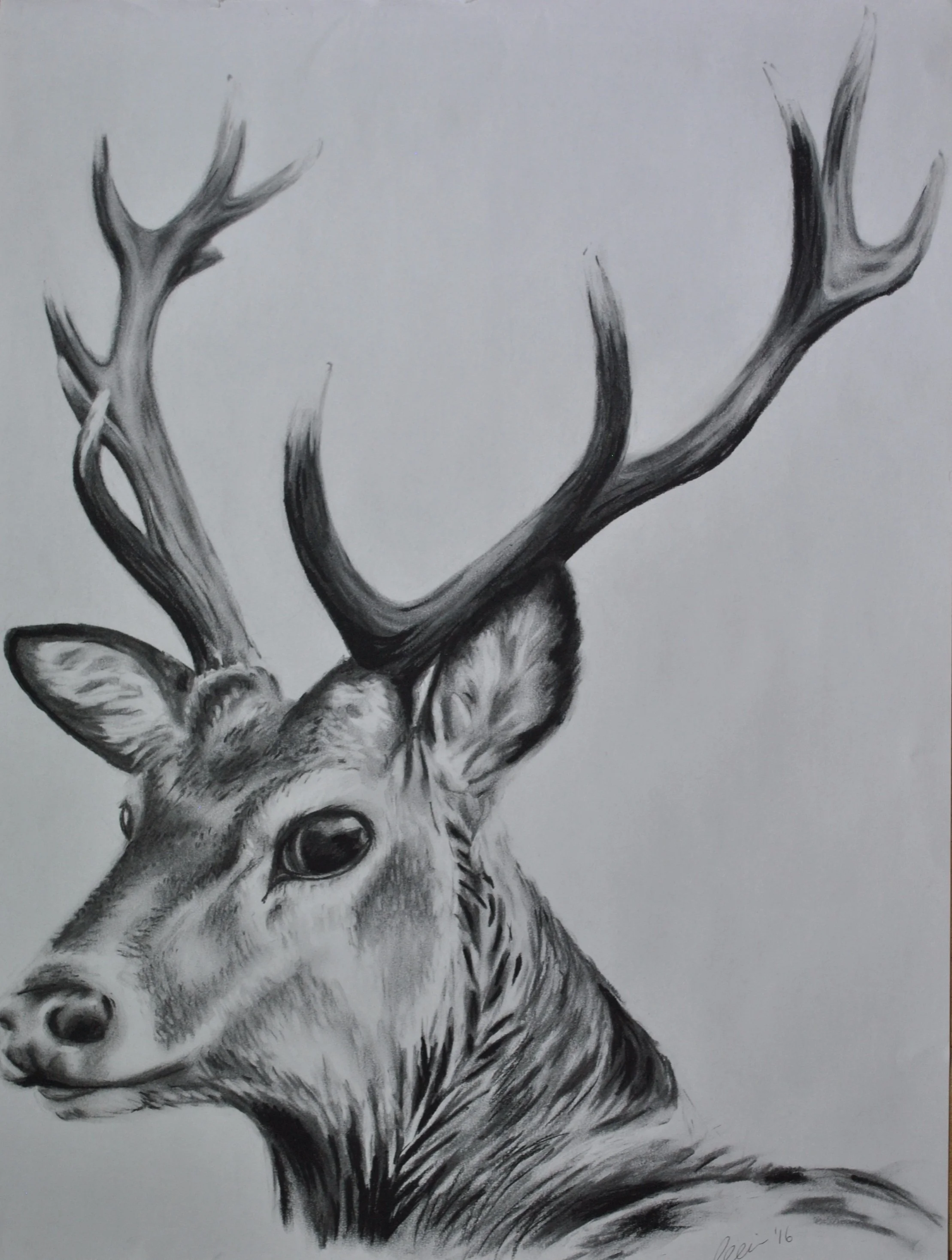 #lifelike!! Wow!! Cailin you are amazing!!