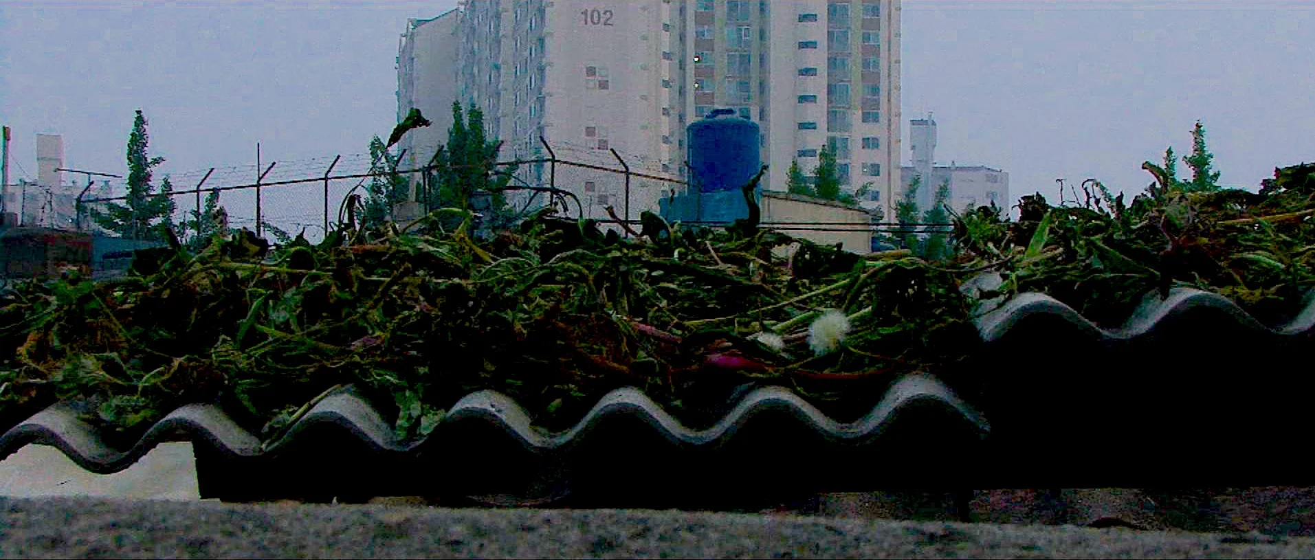 AttritionAssembly5.jpg