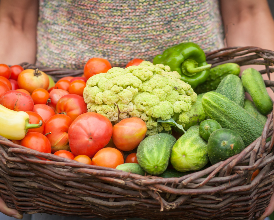 How Michels Catering Champions Sustainability in Every Event