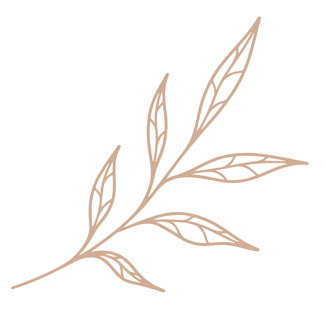 Decorative illustration of a brown, minimalist branch with elongated leaves on a black background.