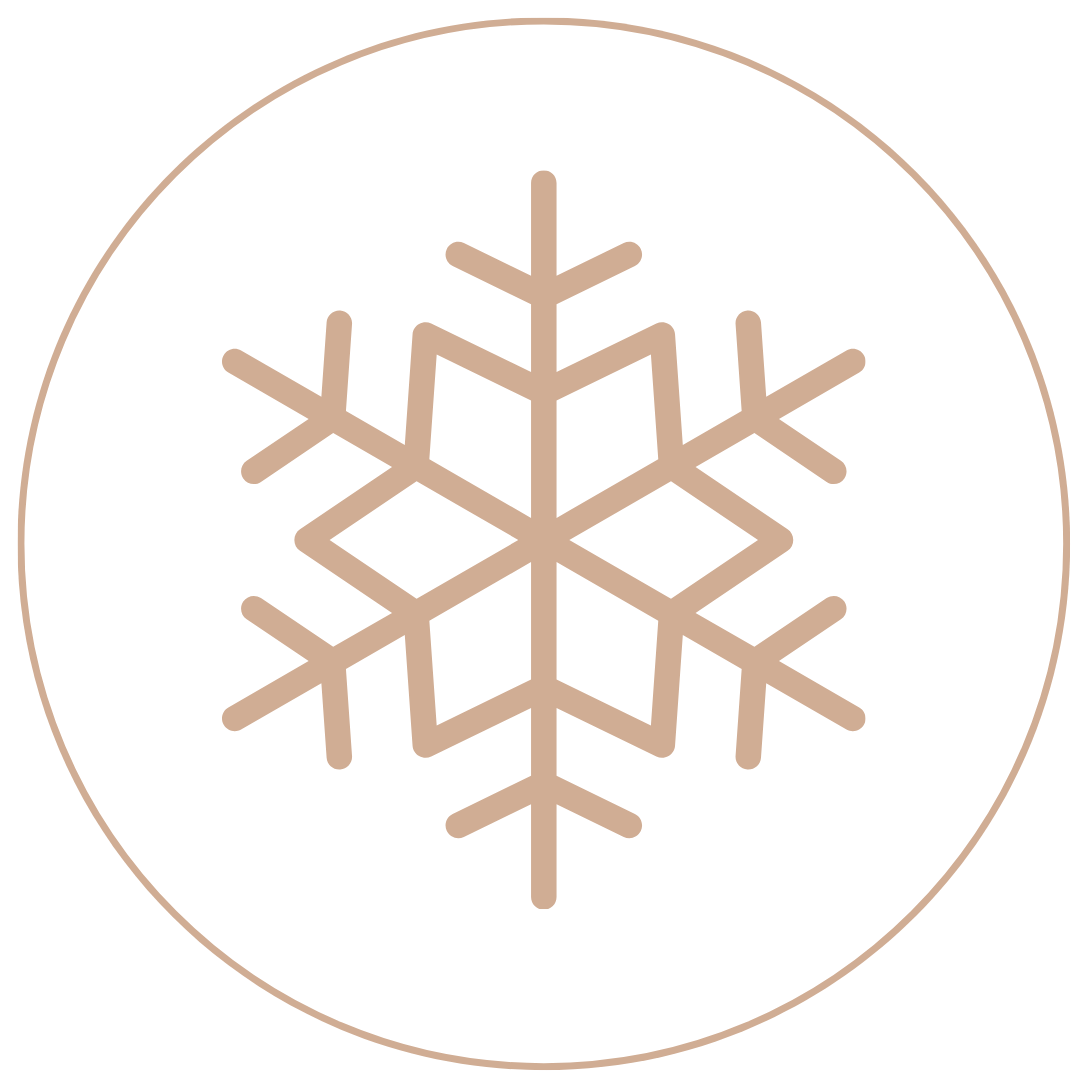 A snowflake icon inside a white circular background.
