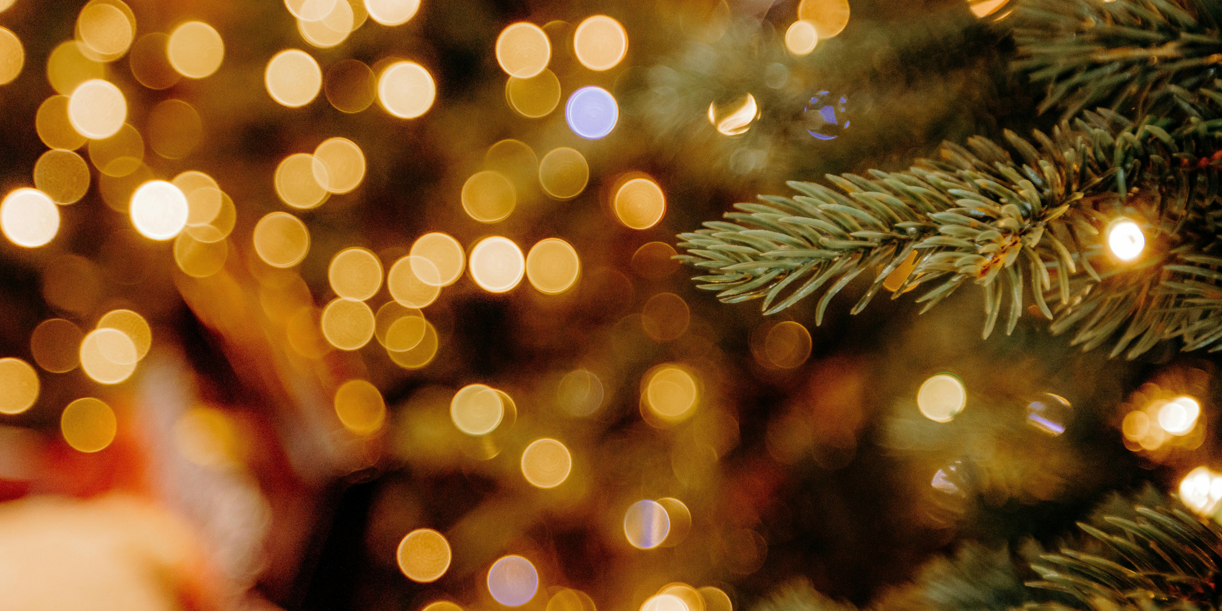 Close-up of a Christmas tree branch with string lights and blurred golden and purple bokeh lights in the background.