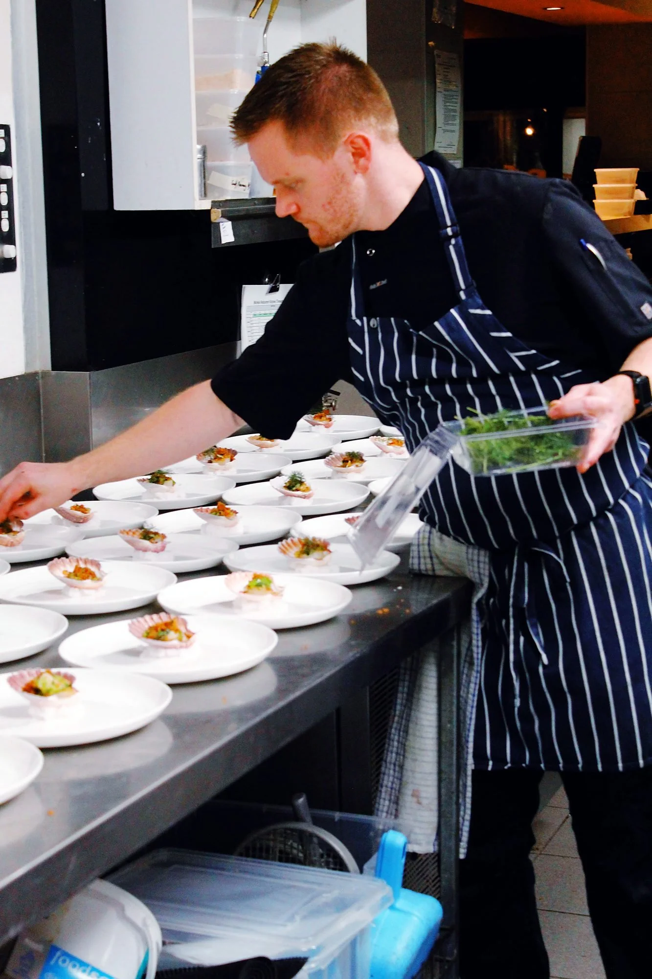 Chef garnishing rows of plated scallop entrées in a commercial kitchen