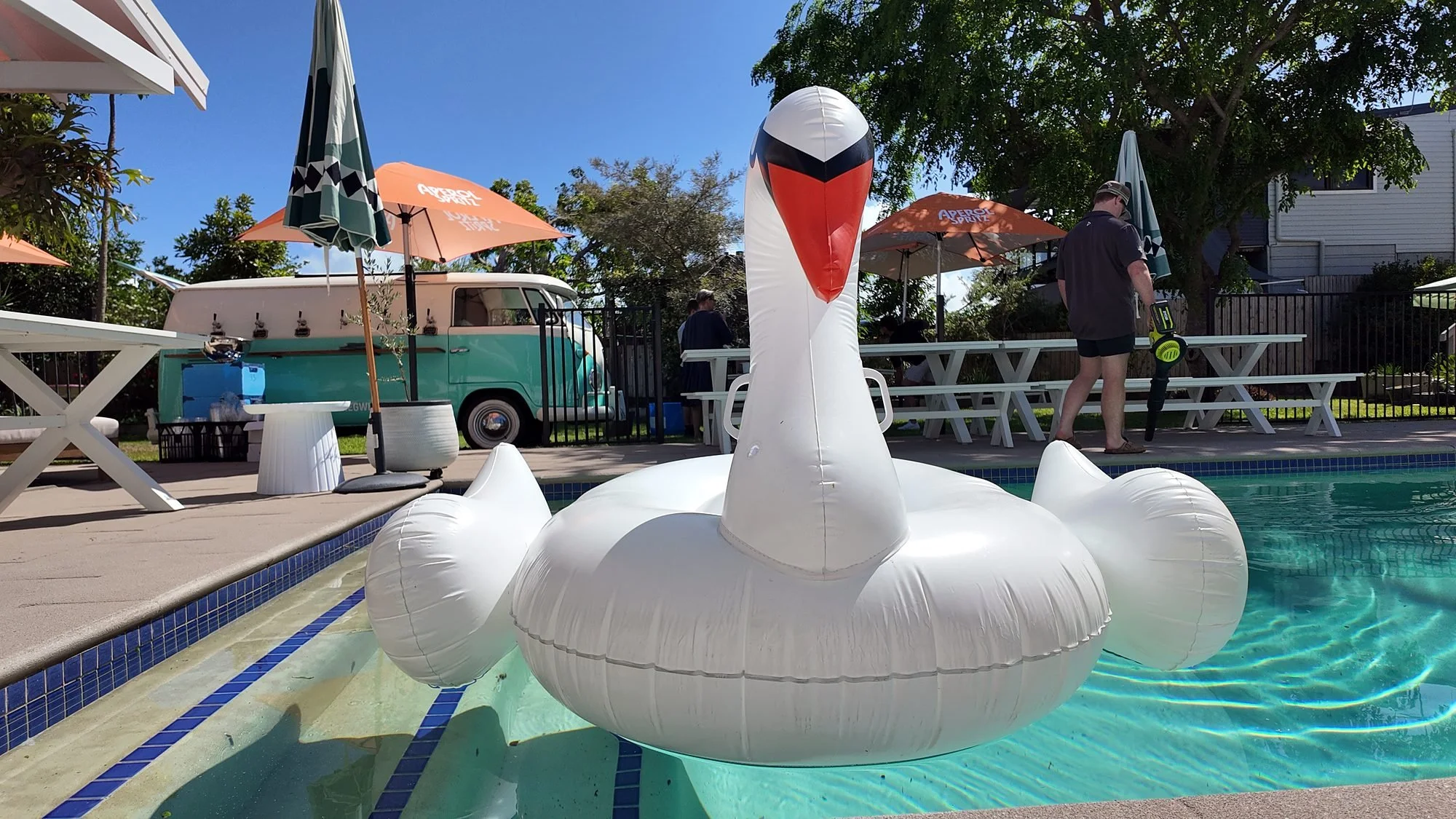 Inflatable swan floating in the pool at a private backyard party