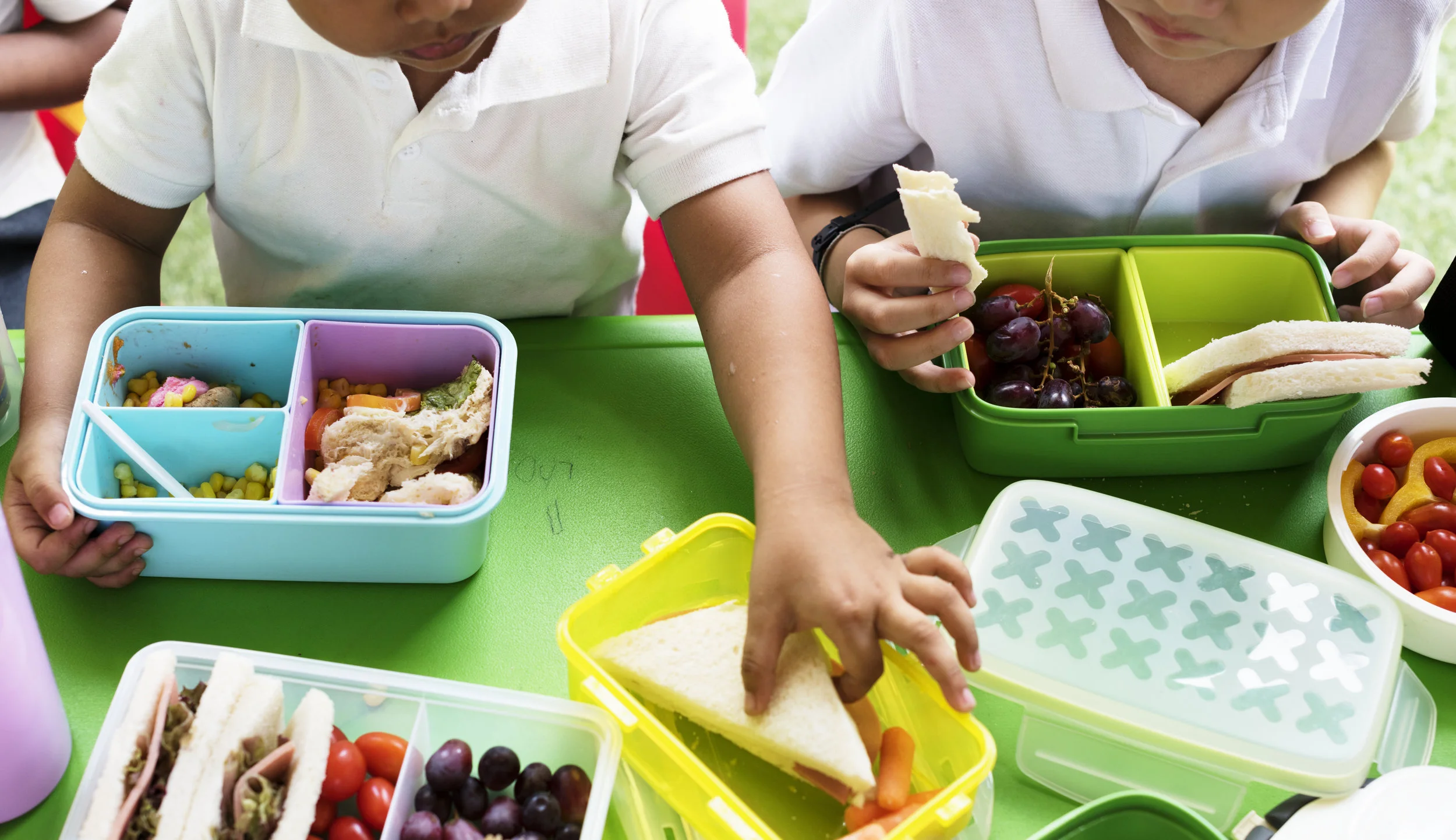 children eating from lunchboxes.jpeg