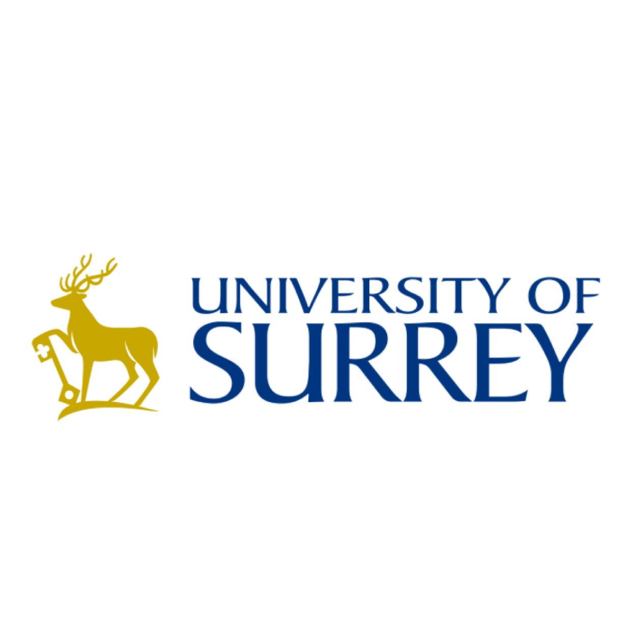 University of Surrey.png