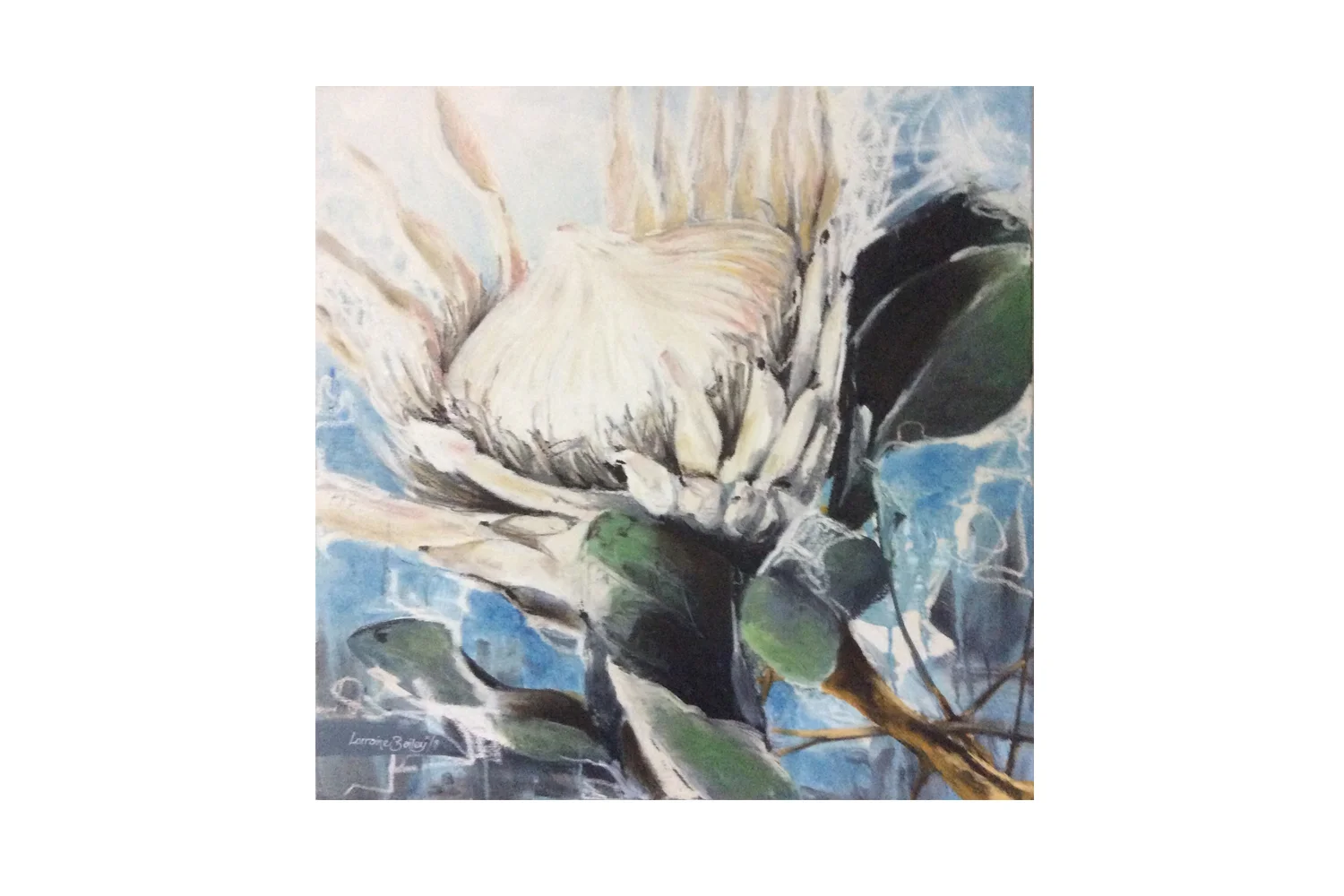 Blue King Protea