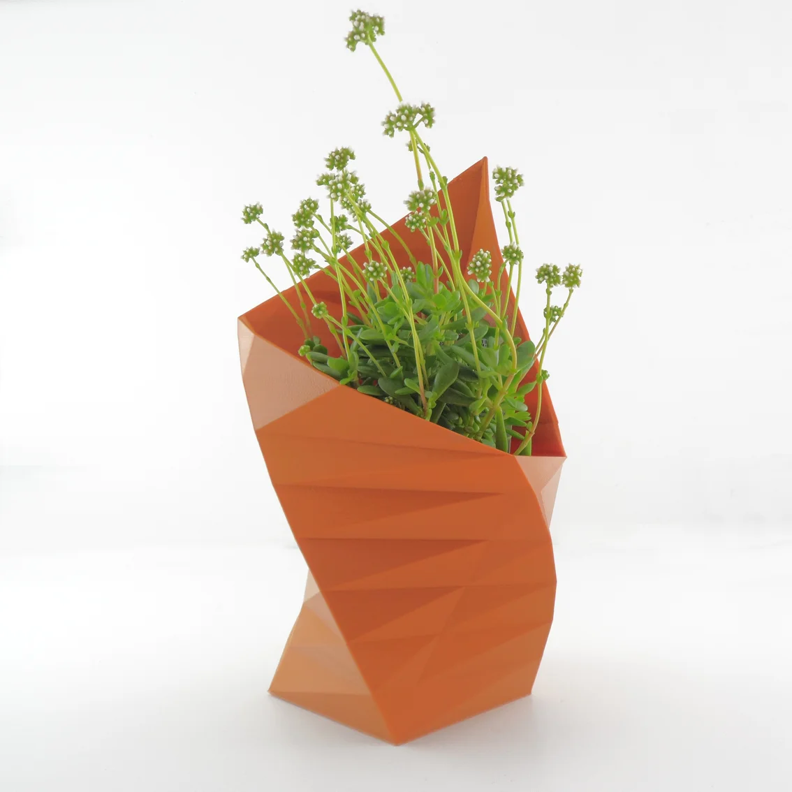 Terracotta Planter