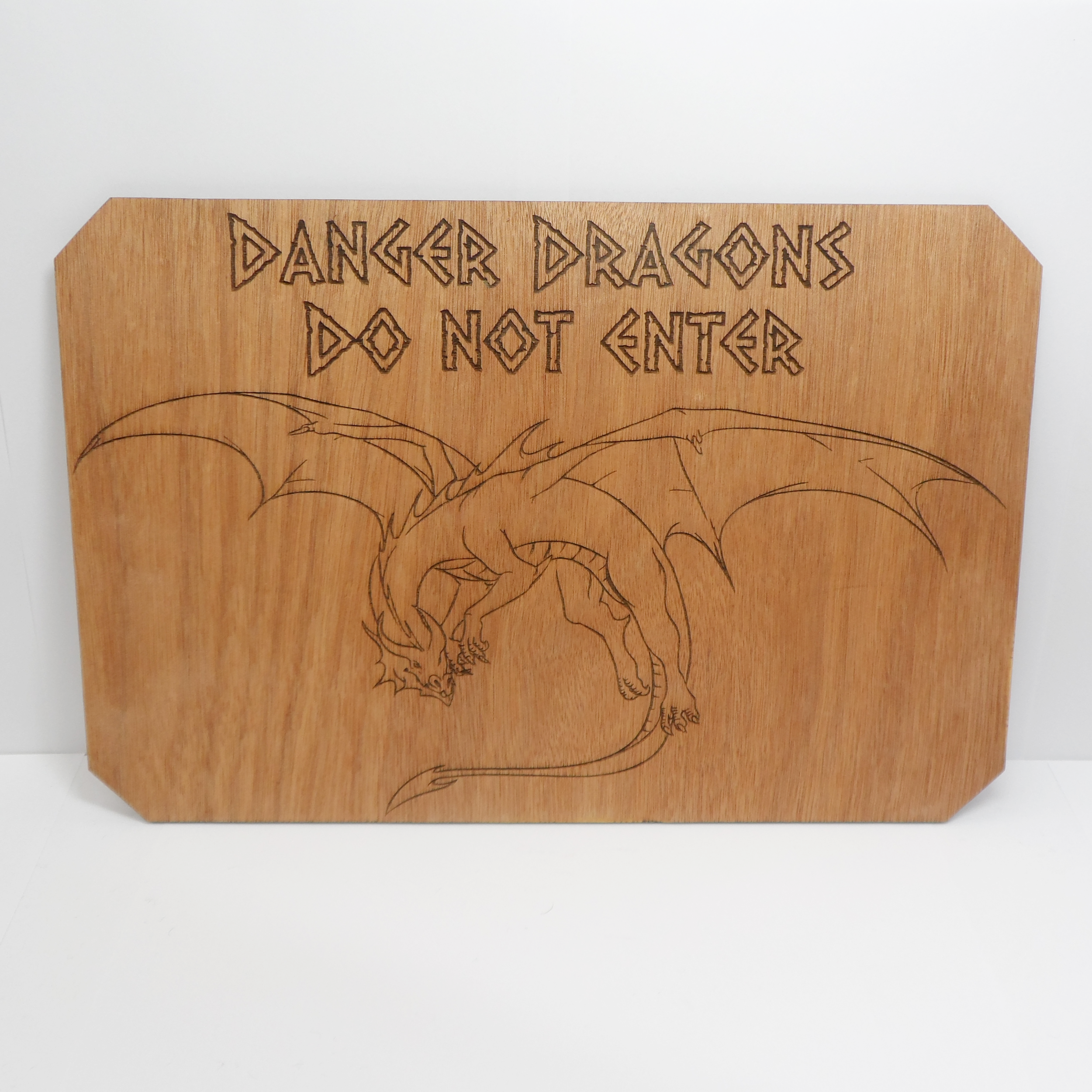 Danger Dragons Do Not Enter Wall Art