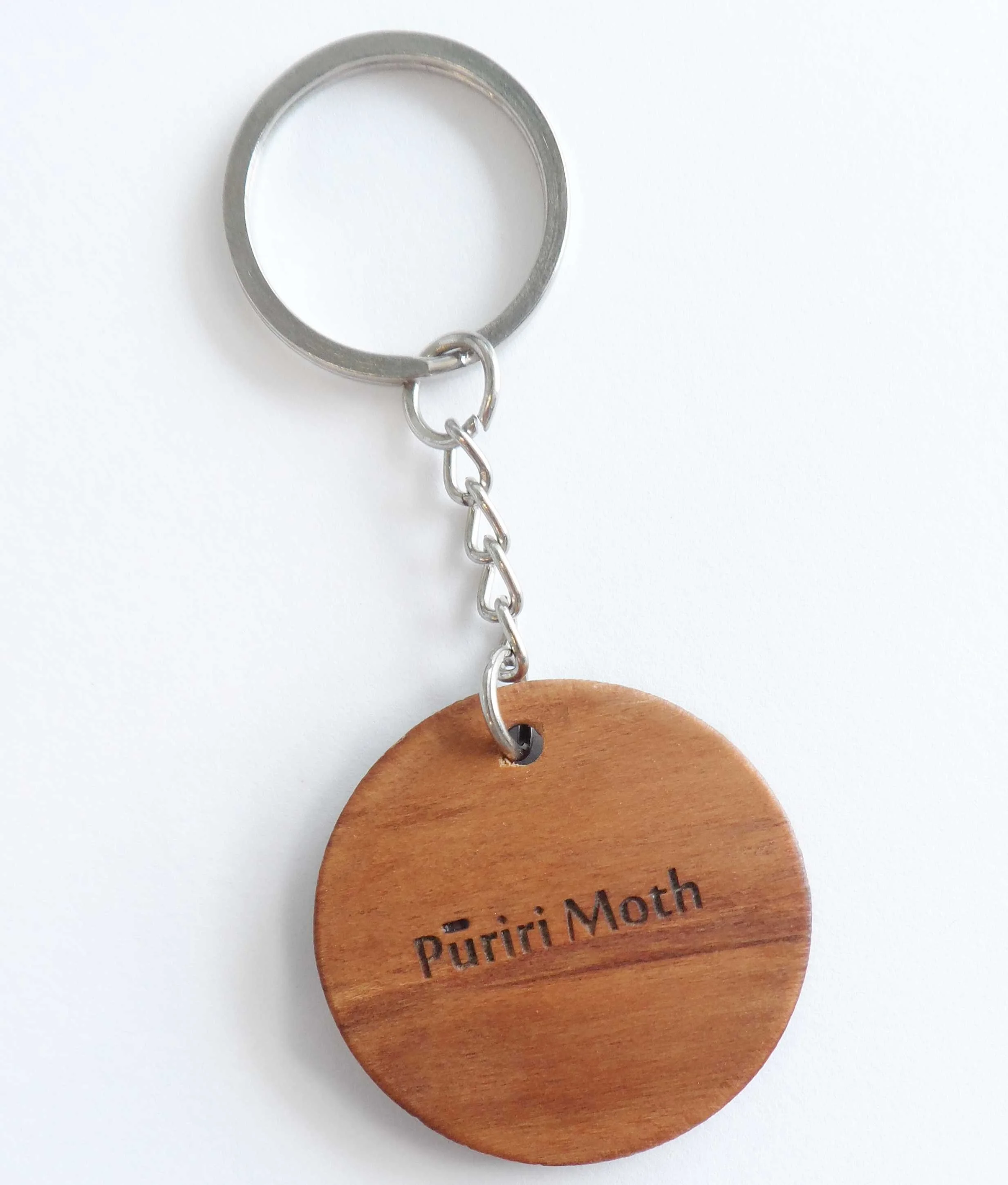 Puriri Moth Back.jpg