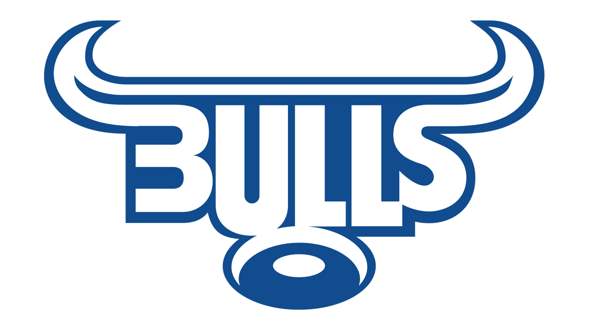 Bulls-logo (1) up.png