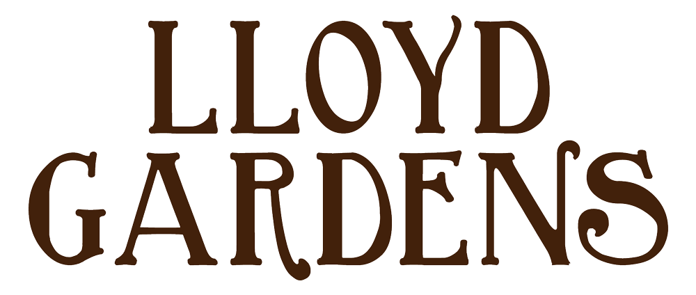 LG-text-logo-1000.png