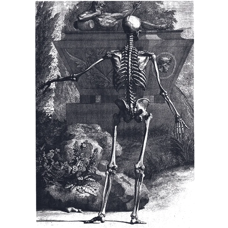 D19.jpg