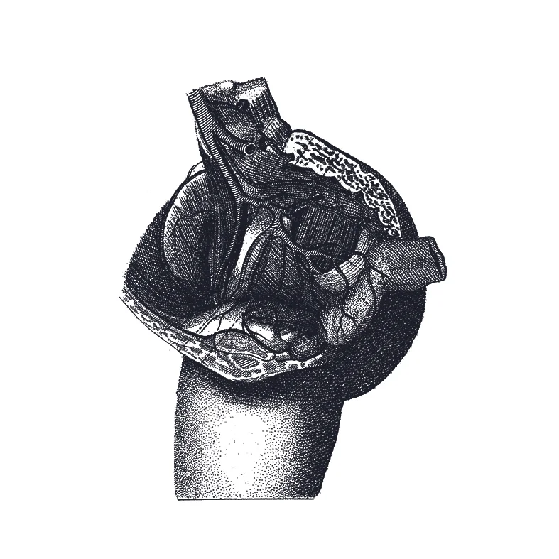 F03.jpg