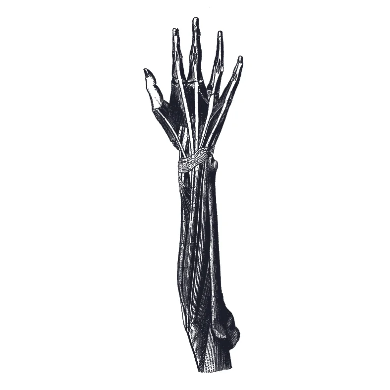 I01.jpg