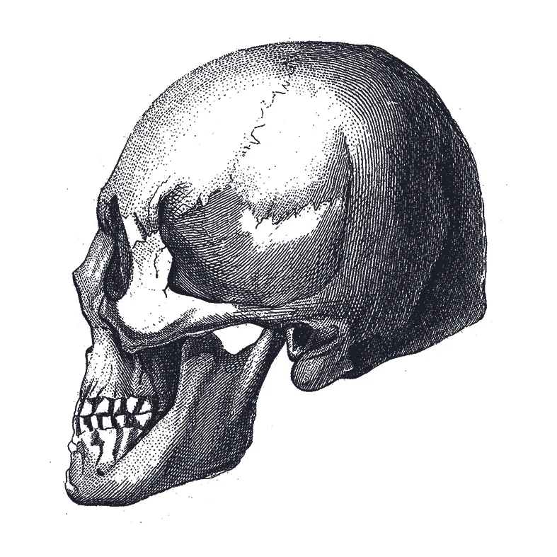 Untitled-1.jpg