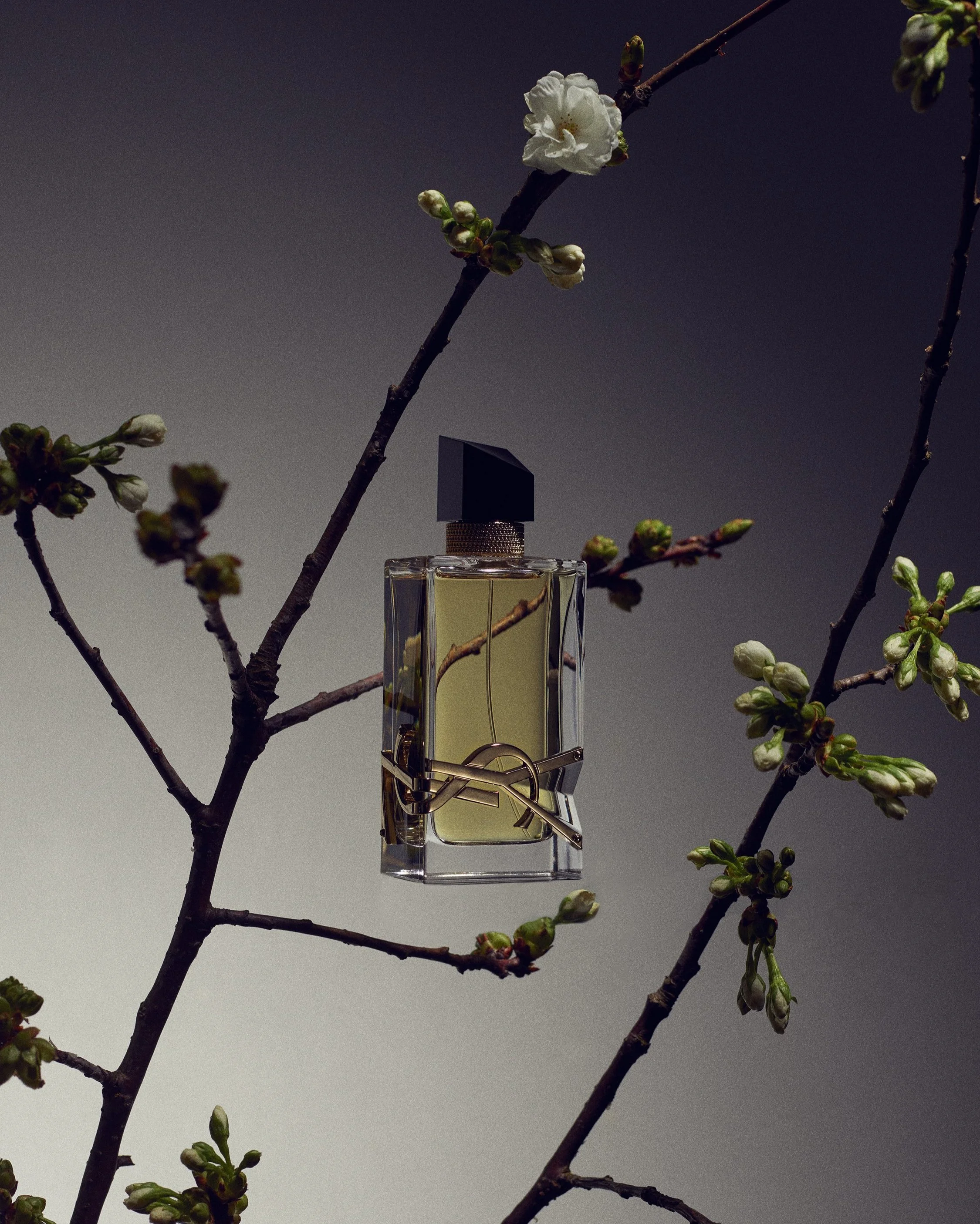 YSL 10 web.jpg