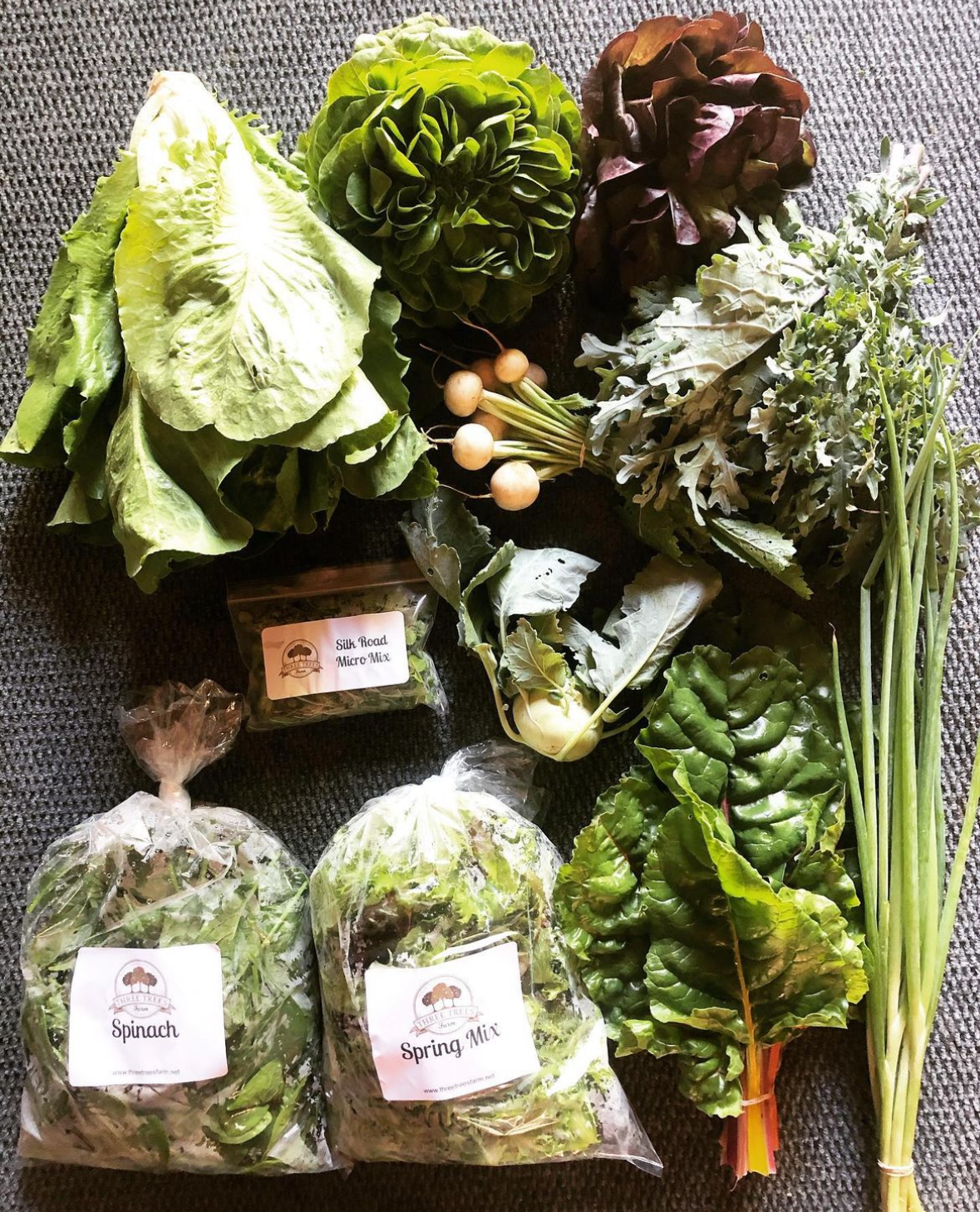 Screenshot 2024-01-03 at 9.32.25 AM.jpeg