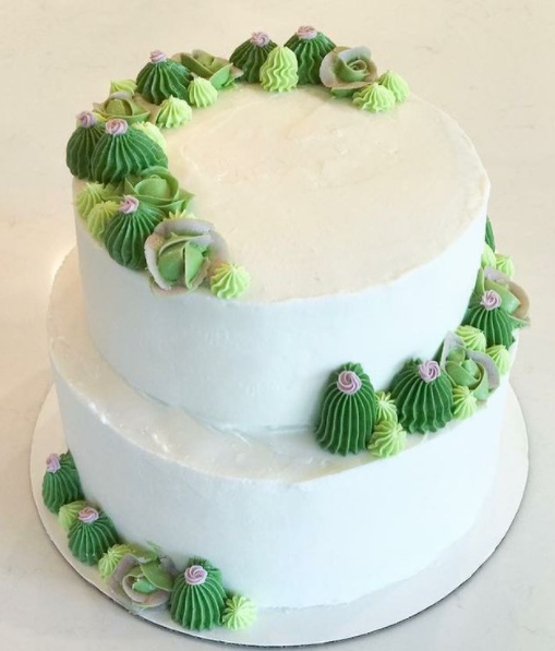 succulent tiered cake.PNG
