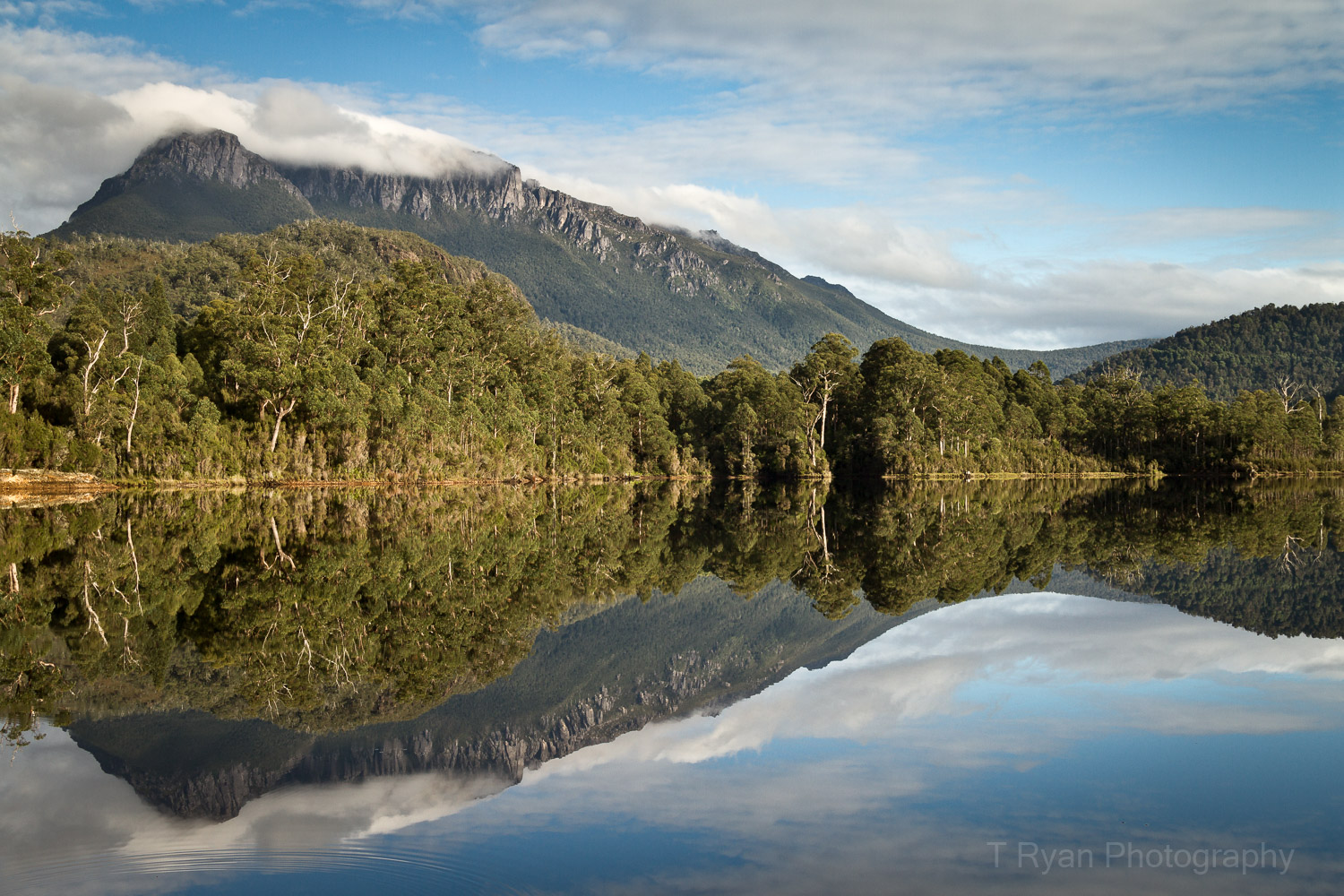 West_Coast_Tasmania6.jpg