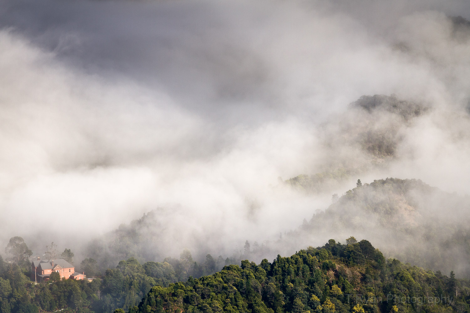 West_Coast_Tasmania70.jpg