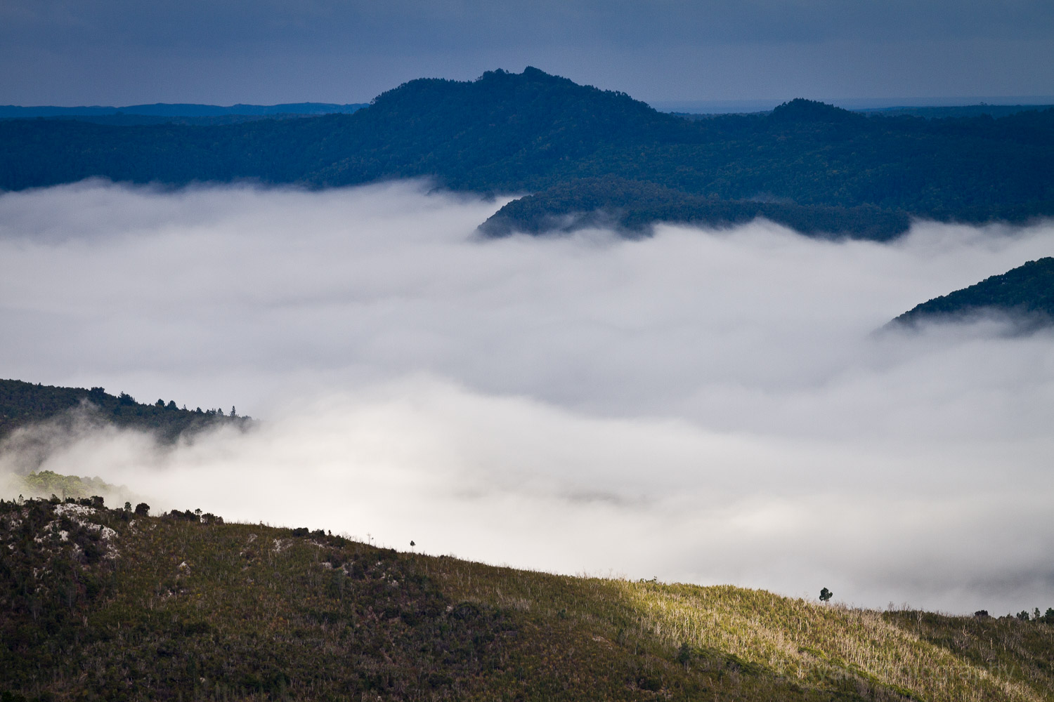 West_Coast_Tasmania71.jpg